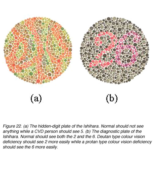 colour vision charts