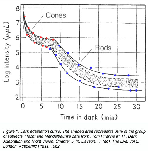 Light and Dark Adaptation by Michael Kalloniatis and Charles Luu