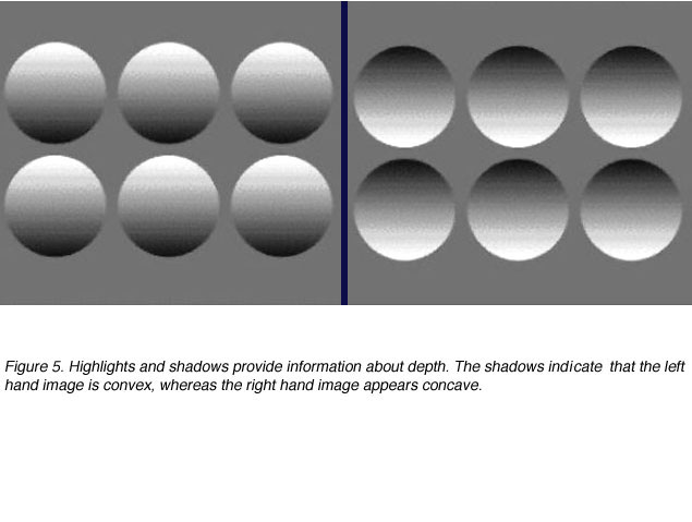 light and shadow perception