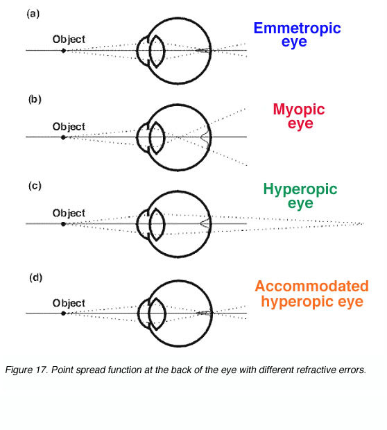 eye function