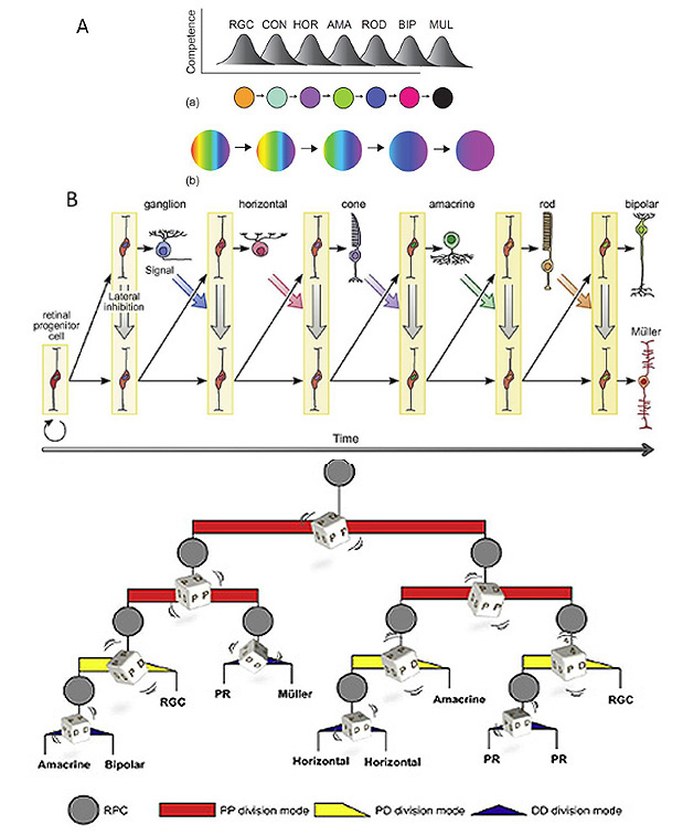 protonix and zantac 150