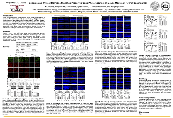 Macular Degeneration Orlando